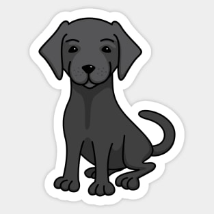 Black labrador Sticker